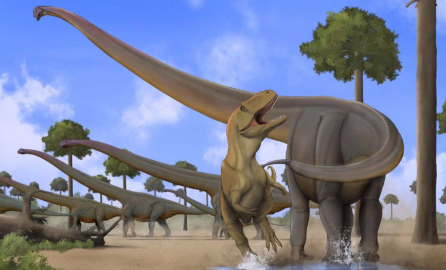 所有恐龙都有尾巴吗？简单介绍它们尾巴的用处