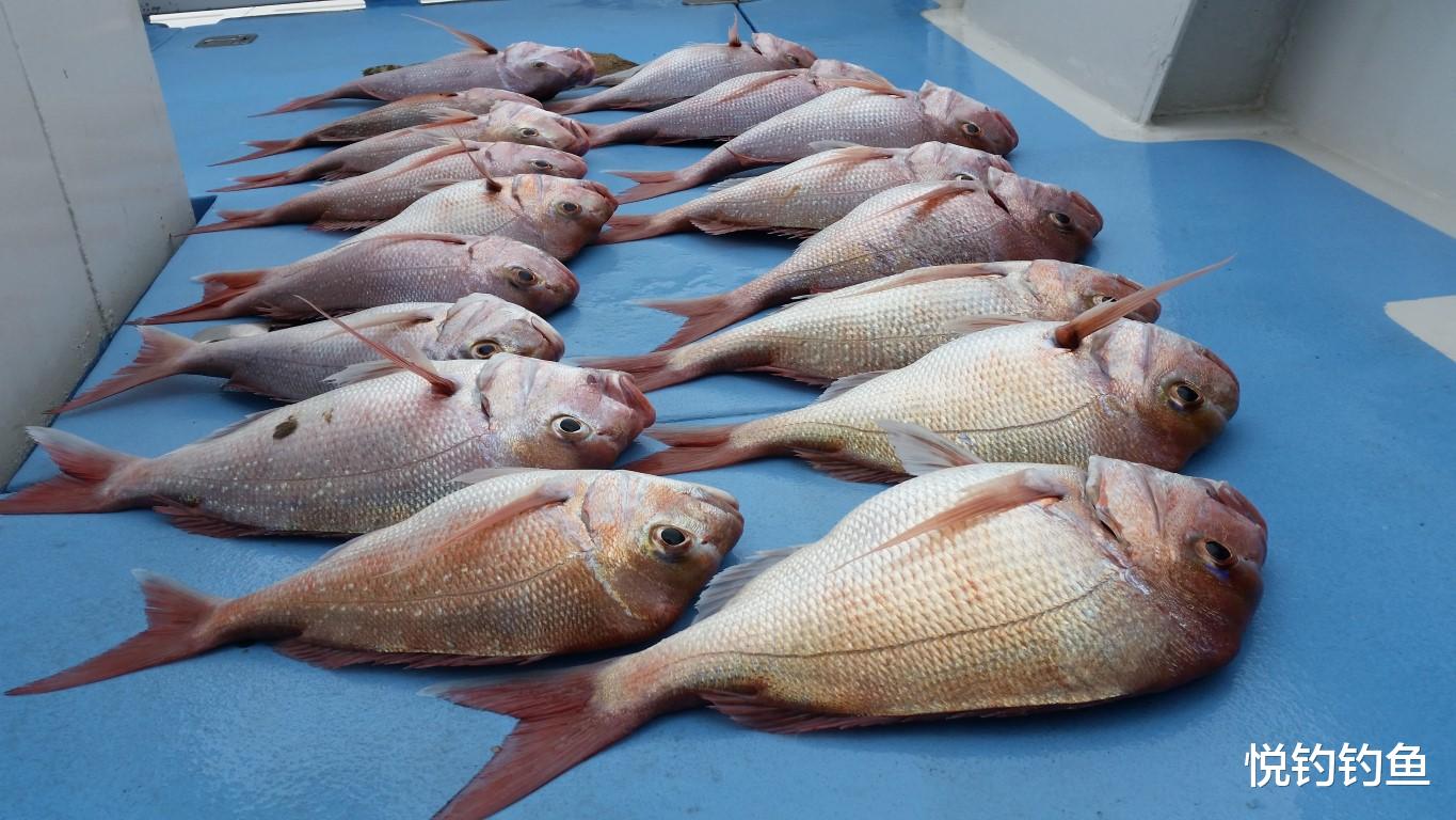 |海员在异国他乡，凭栏垂钓，有鱼没鱼都是一种寄托~