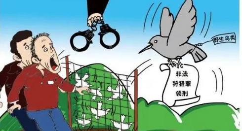 这3种“小生意”别做了,下半年将会开始严查,严重的或将被判刑