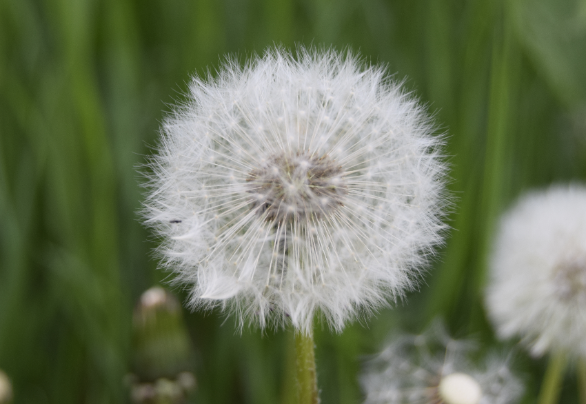 生肖夜读|7月底，决心挽回，爱情悲伤，尤为不甘，3生肖误会解除，彼此和好