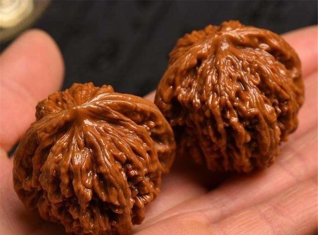 钱币|盘核桃不再需要3冬2夏了,这6种文玩核桃,上色包浆贼快!