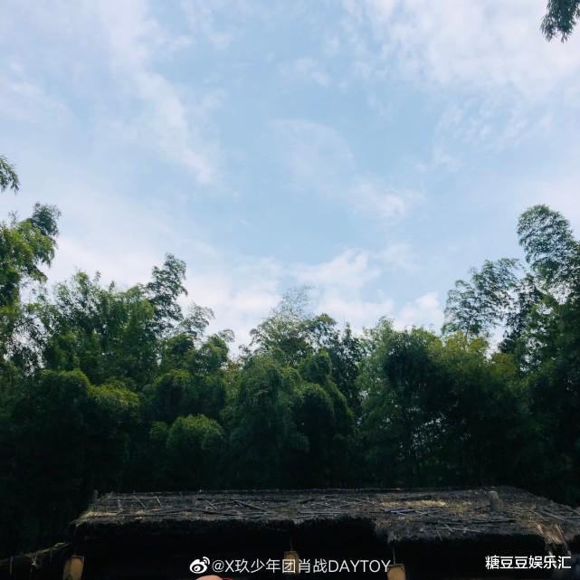 肖战|肖战晒丸子头自拍，给敖子逸发搞笑表情包，网友：皮皮战回来了