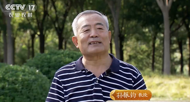 大米|因为喜欢钓鱼,他发现养殖蚯蚓商机,年销售额4000多万