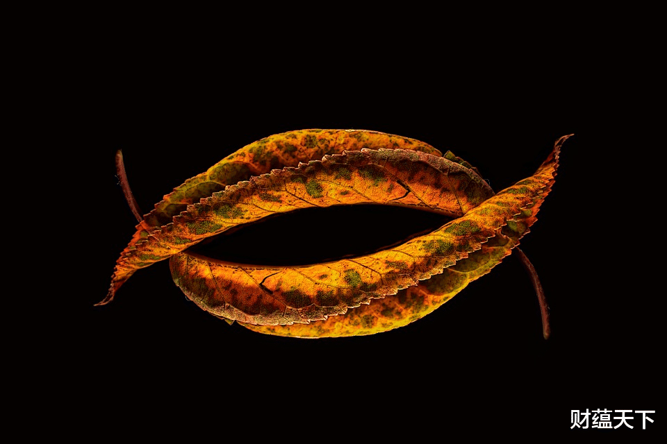 荆州|创业不易，你得学会守护