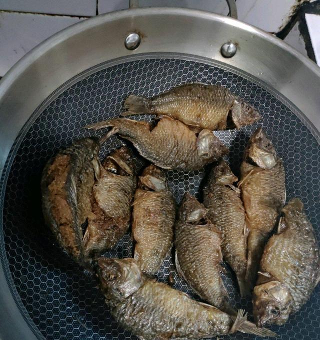 邕江|邕江里禾花鲤越来越多,有人一条钓几十条,可惜太难吃?