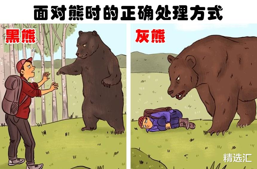 |在生活中遇到某些麻烦时，可以带来帮助的6个小技巧