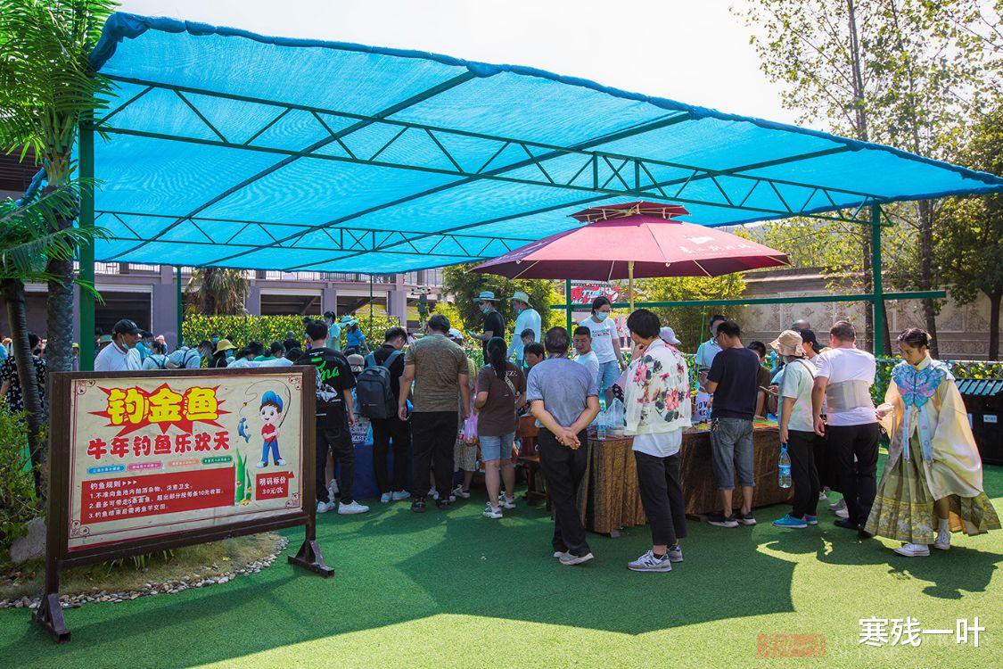 奇奇|一个简易鱼池,一根鱼竿30块,游客路过就迈不开腿,为何这么火?