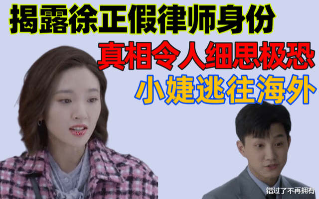 徐正|《小敏家》揭露徐正假律师身份，真相令人细思极恐，小婕逃往海外！