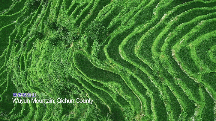 中國報道 今日頂流，驚艷全球