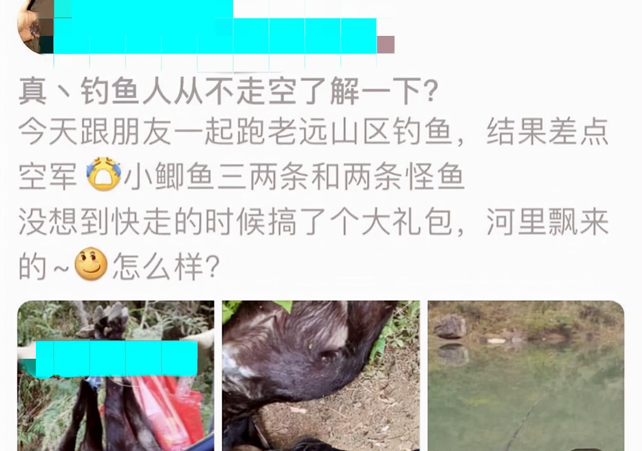 云南|云南的几个钓鱼人火了，野钓罕见收获一只山羊，具体来源成谜