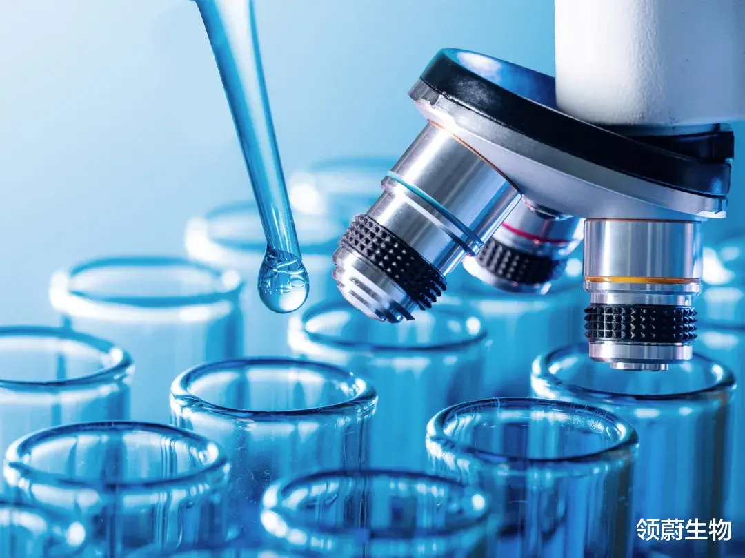 恐龙 展望丨间充质干细胞在自身免疫系统性疾病的研究进展