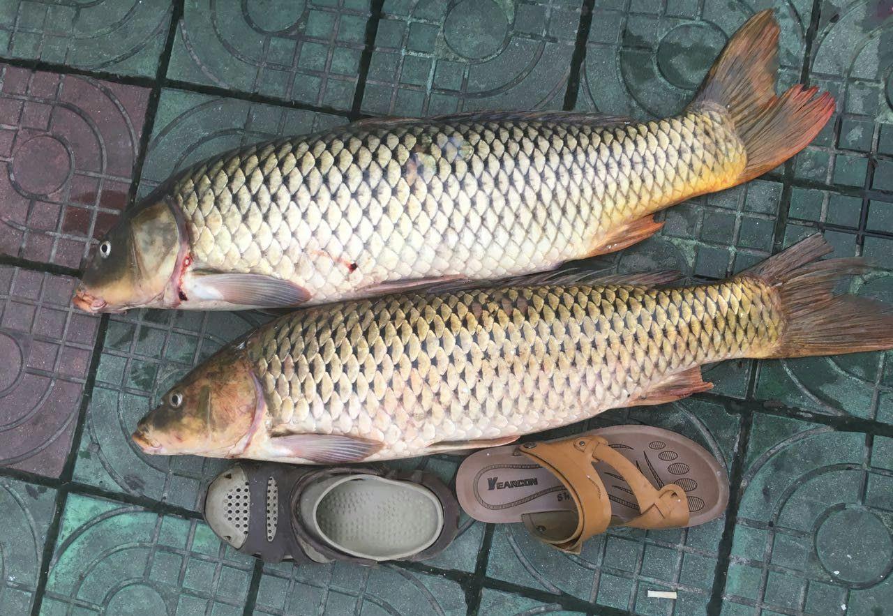 |短短十年，我成了家族中唯一的钓鱼人，不知道还能坚守多久？