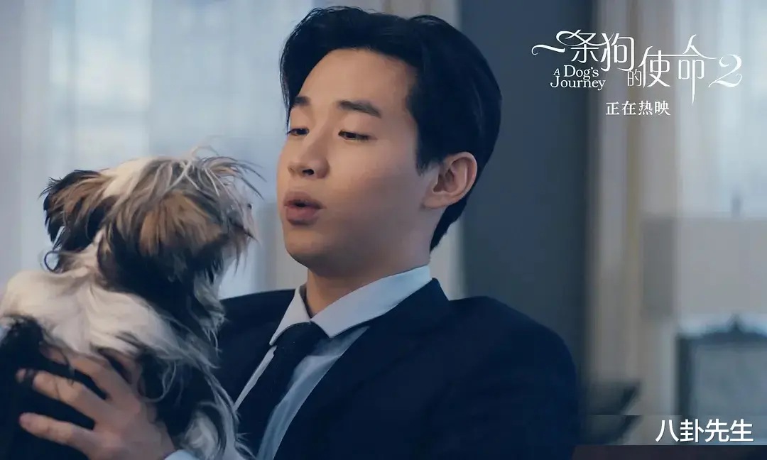 向往5|《向往5》确切嘉宾名单出炉，网友大呼失望，两大期盼都落空了