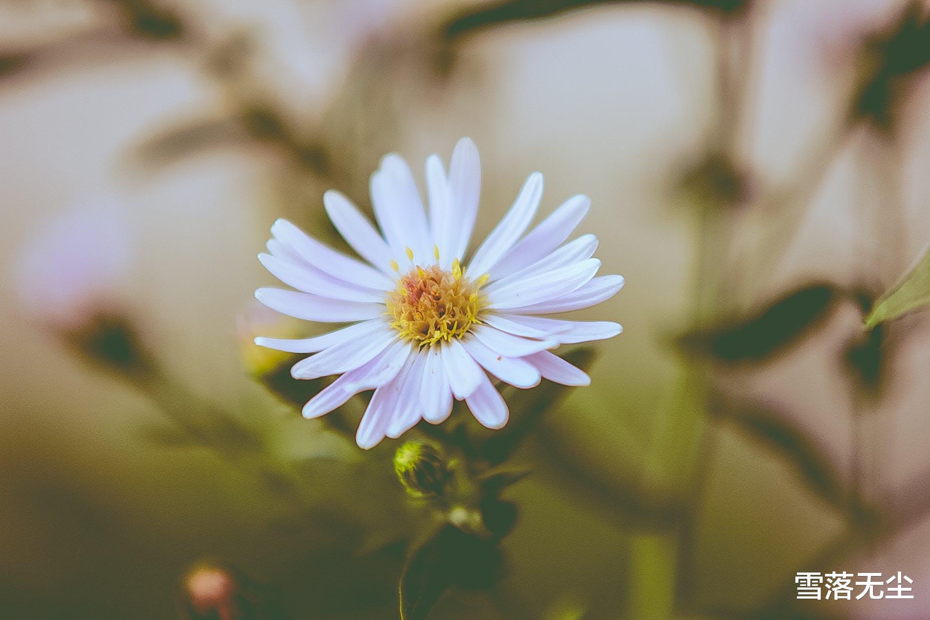 小姐姐 人一辈子：远离两种人，亲近一种人