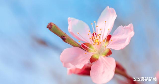 安安漫谈情感|55岁大婶和42岁男人再婚，大婶：晚上太折腾，男人：夫妻就是这样