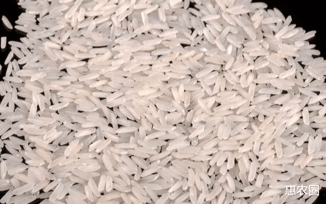 印度長粒水稻很受歡迎，出口賺不少錢，為何我國農民不種植？-圖4