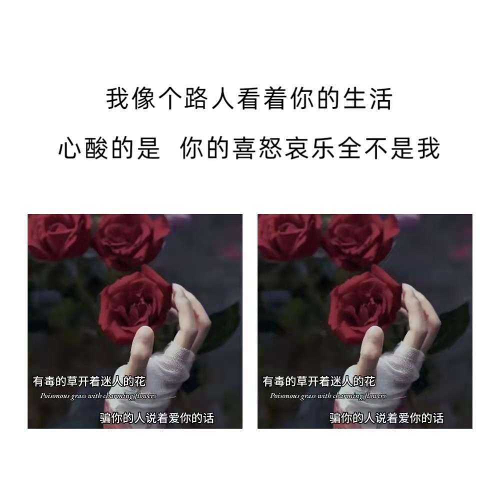 墨陌文案馆|写给太重感情的人