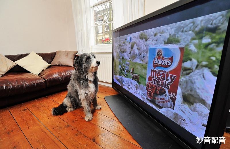 妙音配音 广告配音有哪些具体分类