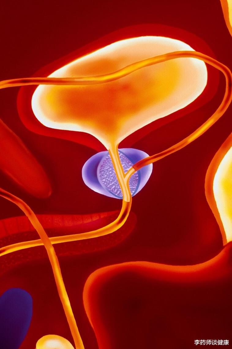 李药师谈健康|尿频总跑厕所是肾不好？辟谣：导致尿频的10种病因，一一说清