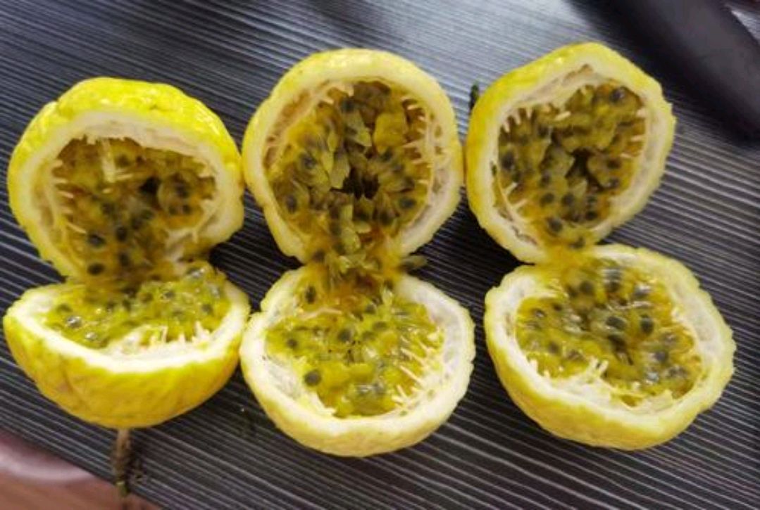 睡眠质量|4种食物或是天然“安眠药”，没事换着吃一点，帮助提高睡眠质量