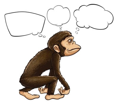 人类在114万年前就褪去了体毛?