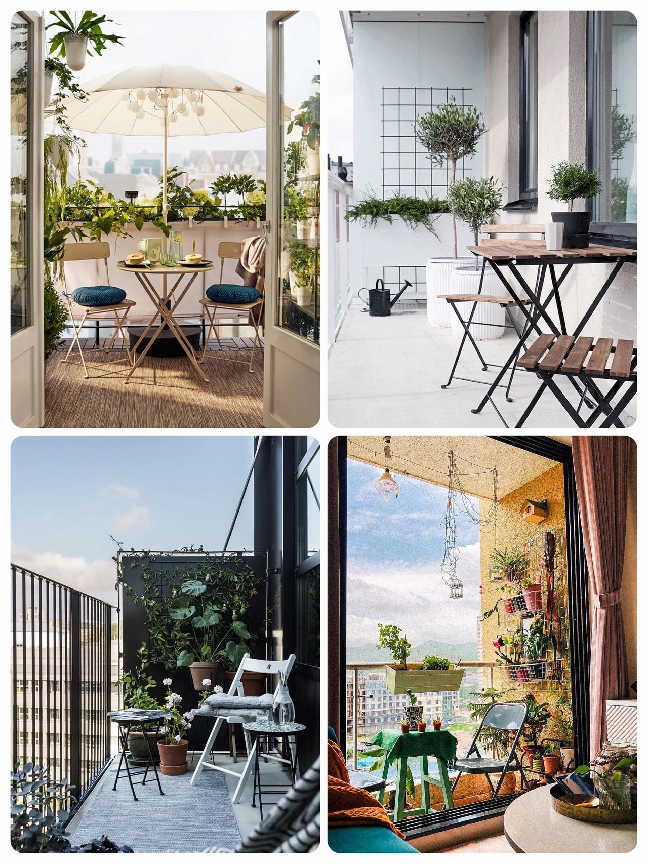 天堂鸟|小阳台花园设计案例分享,美观实用让你一眼就爱上,赶紧get起来