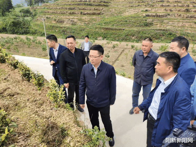 阳新新阳网 阳新新闻：王建华在三溪、王英调研乡村振兴、安全生产工作