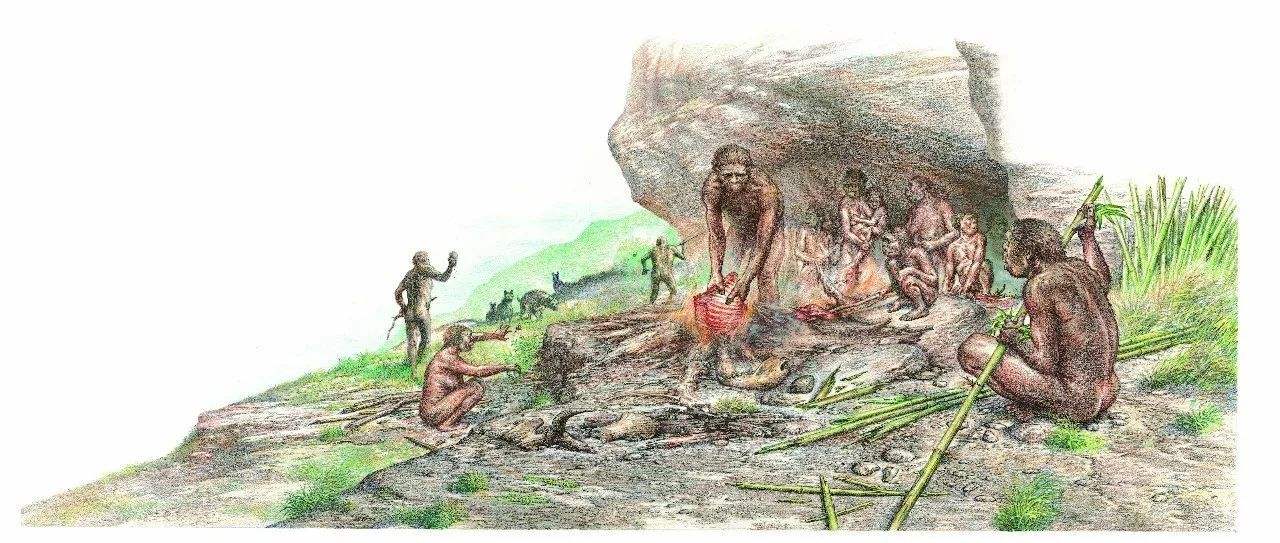 科学家 人类经过进化后，褪去了全身除头发和阴部毛发，科学家：为了散热！