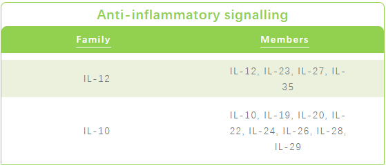 基因 PCR Array在免疫炎症研究中的应用