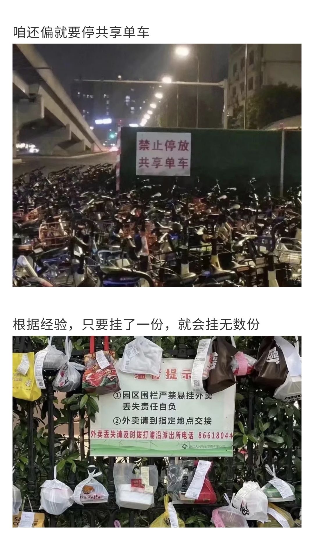 |人类叛逆行为图鉴，网友：这是在搞事情啊！