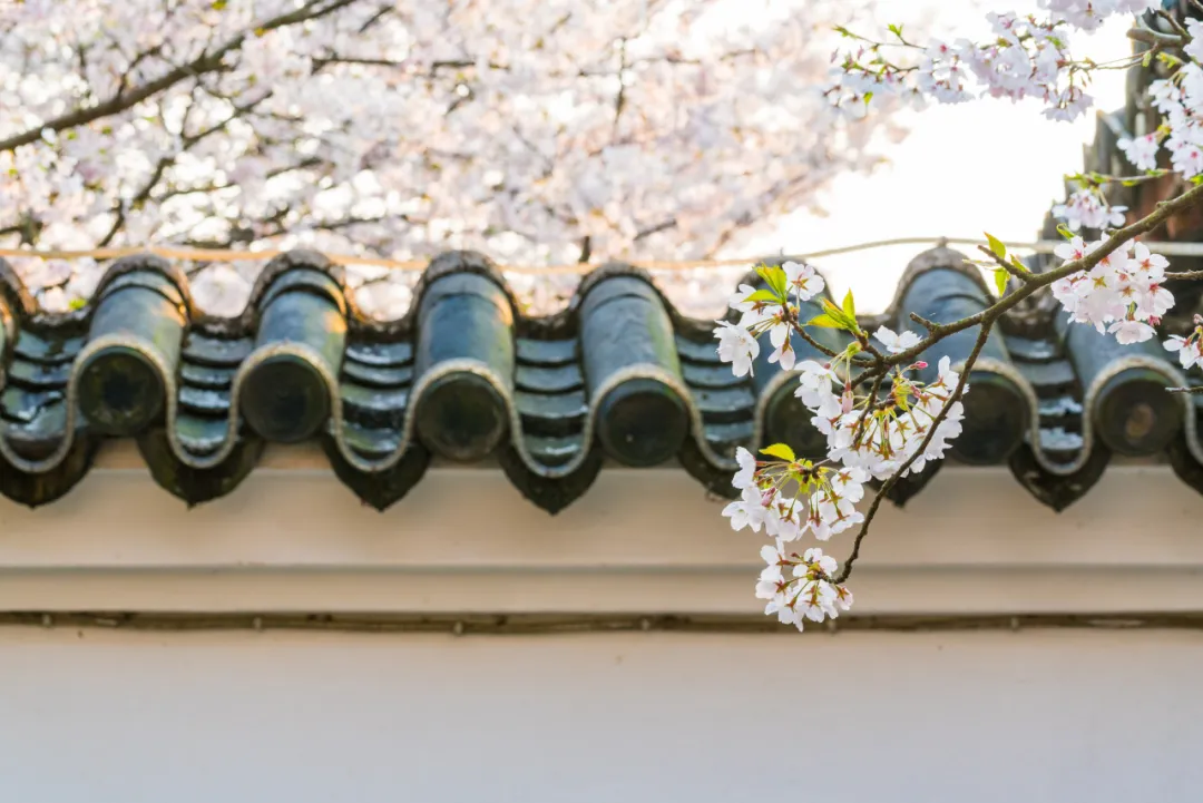 |12首简短的小禅诗:禅中诗意浓,诗中智慧多!