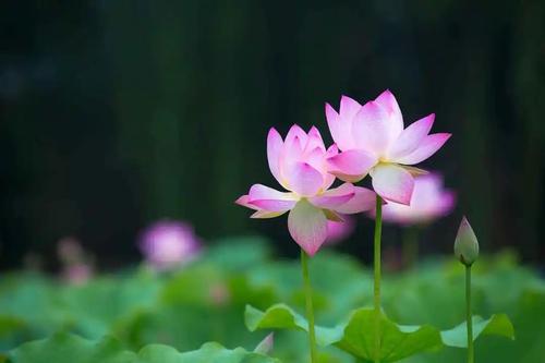 离雨微凉|家越干净，人生就越幸运