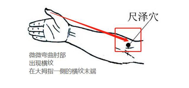 香艾儿|你知道吗，手臂上还有个补肾穴！