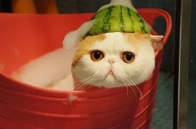 5000万业主集体泪崩!新房犯下16条装修遗憾,悔到肠子发青!