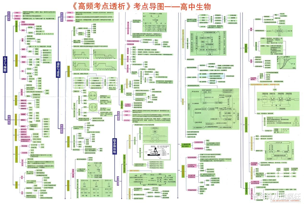 作文|高中语文如何得高分？拆解高考试卷题型和分值，初中家长要提前训练孩子这2项能力