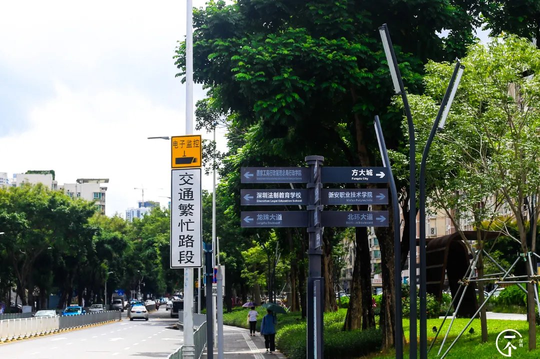 泉州|深圳南山有个“低调”村，个个月薪上万？