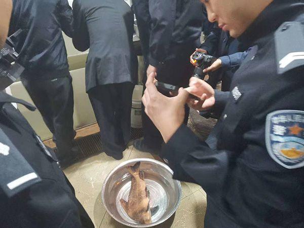 钓鱼蓑笠哥 牢底坐穿鱼盘点，每年都有人被抓不知情都会遭，附最新名录