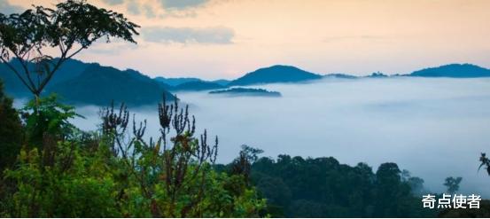 化石 一个不好的消息：非洲80万公顷山林消失后，排放了4.5亿吨二氧化碳