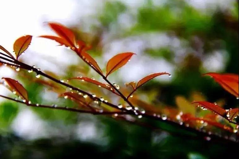 小手氷凉|气为阳，血为阴！你的气血足不足？从这 5 个部位就能看出来