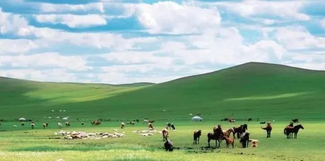 涠洲岛 8个国内人少景美的地方，这些都是6月应有的模样，每帧都美成屏保