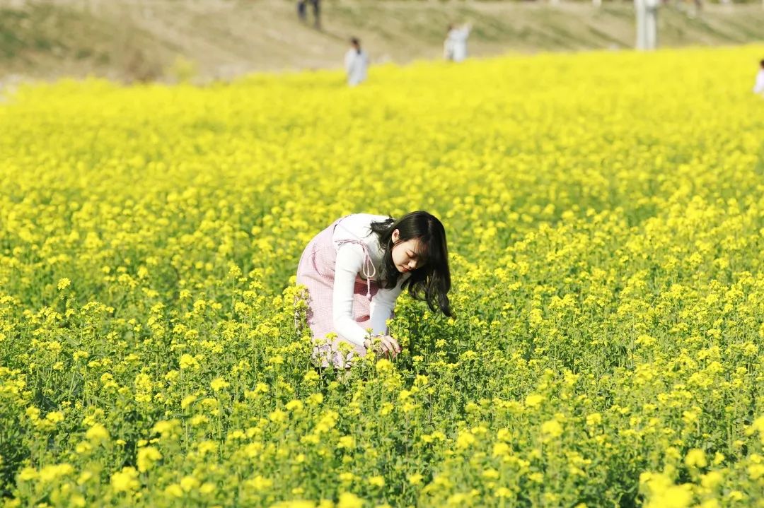 智慧庆云 巡河常态化，水域生态化——庆云：河长制迎来“河湖美”