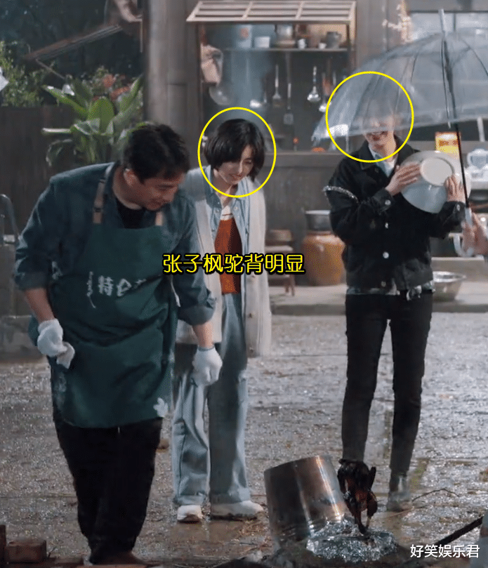 杨紫|同样是童星出身，杨紫张子枫同框气质差距却大，原因出在驼背上