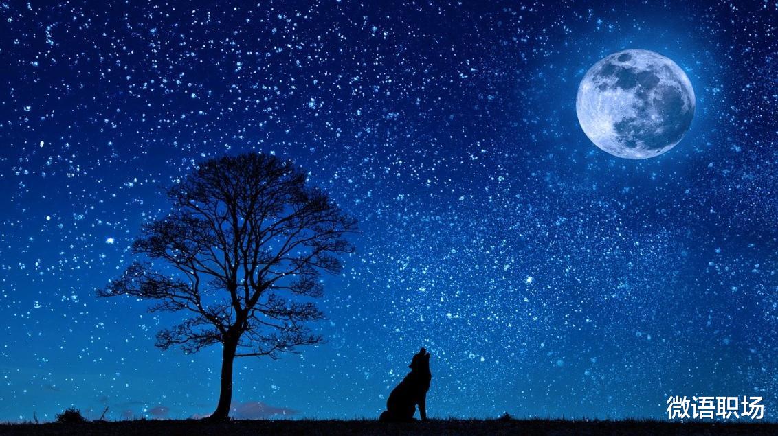 人际关系|真正高情商的人,大多懂得这10条人际关系“潜规则”,你懂几条?