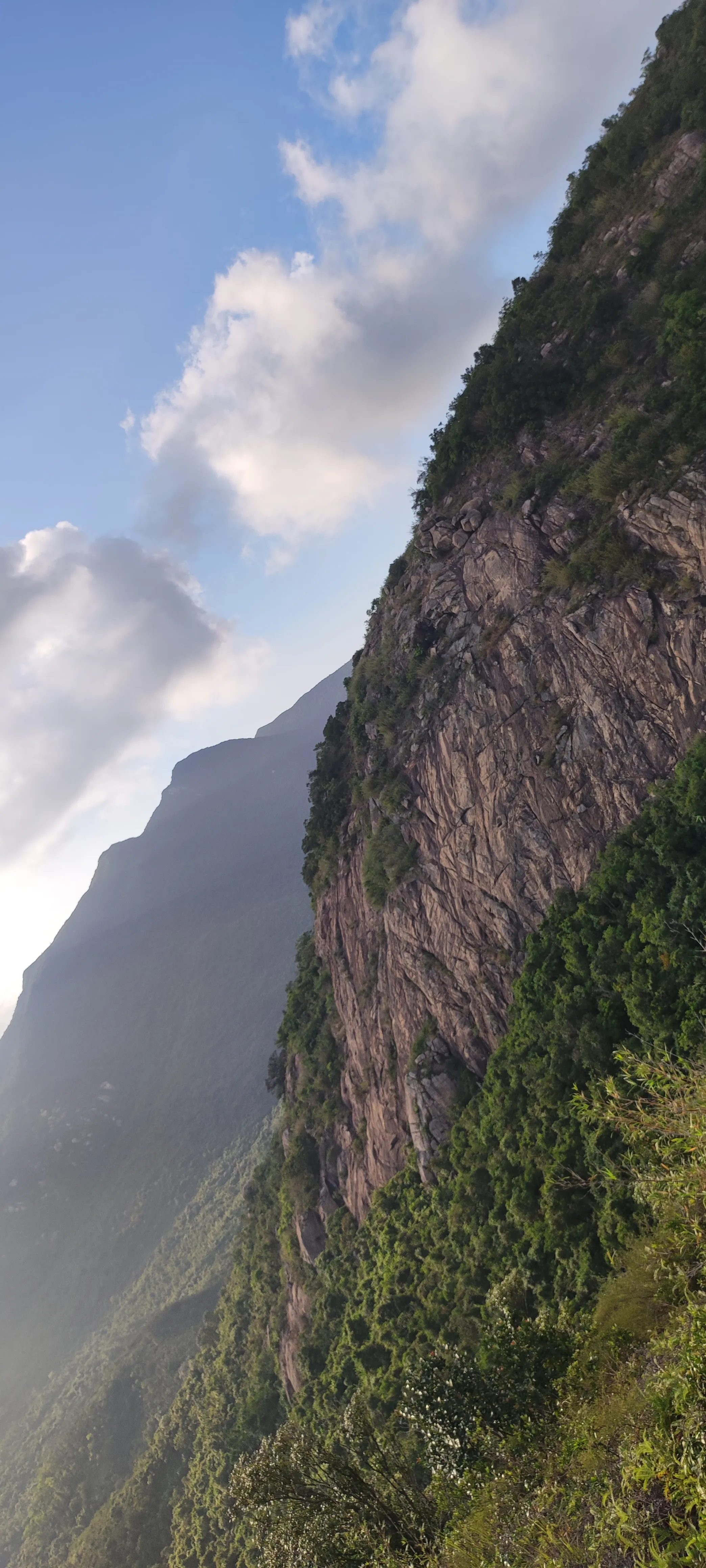 海参崴|深圳大鹏半岛，登顶排牙山记录