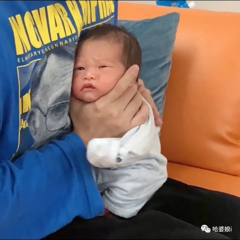 毛不易|“ 原来毛不易出演了放羊的星星 ？？ ” 哈哈哈毛不易看了想打人