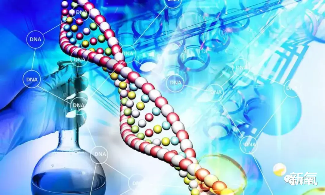 汪峰|星二代颜值天花板恋爱曝光，这近照简直比她妈还要绝了！