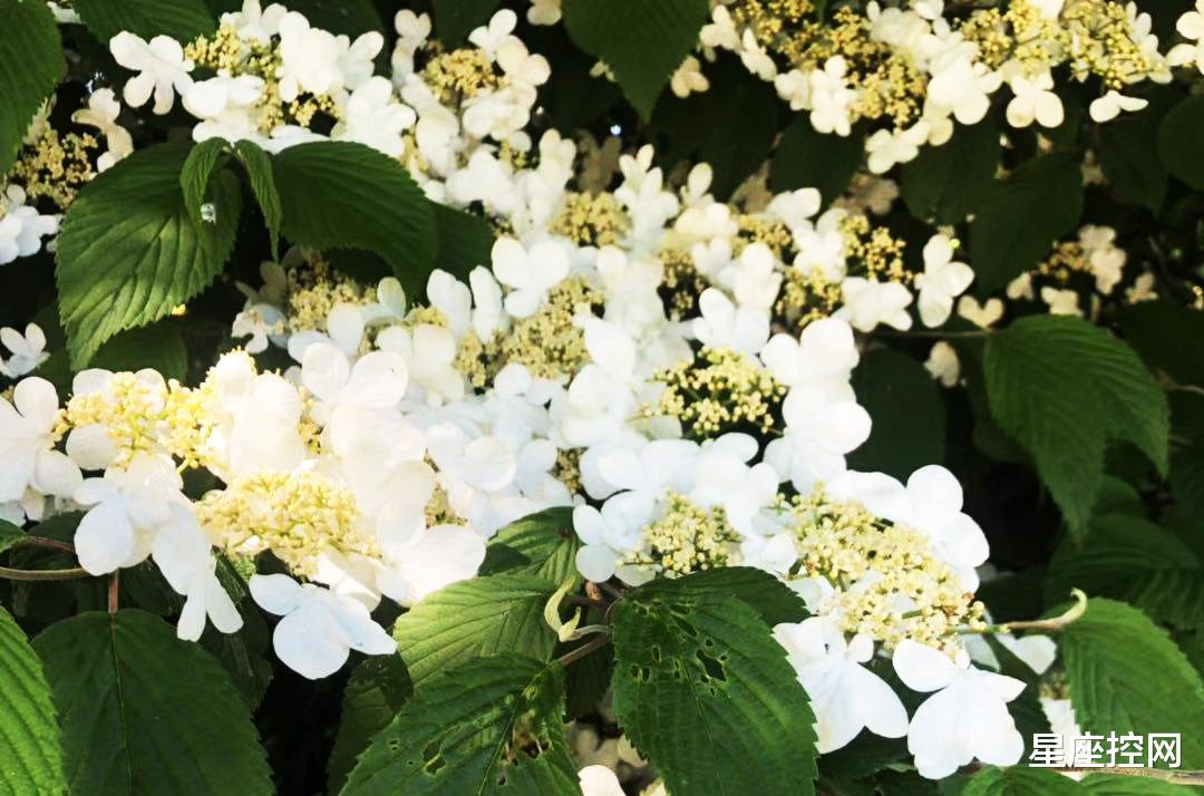 |哪几个日子出生，举手投足有气质，出门在外撑得起门面，诸事吉利