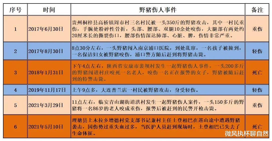 微风执杯聊自然|毁地绝粮，攻击村民，野猪死期终于到了，保护期骤降为每年两个月