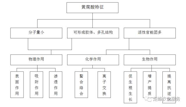 农圣教育:高级农艺师-作物根系生长三要素
