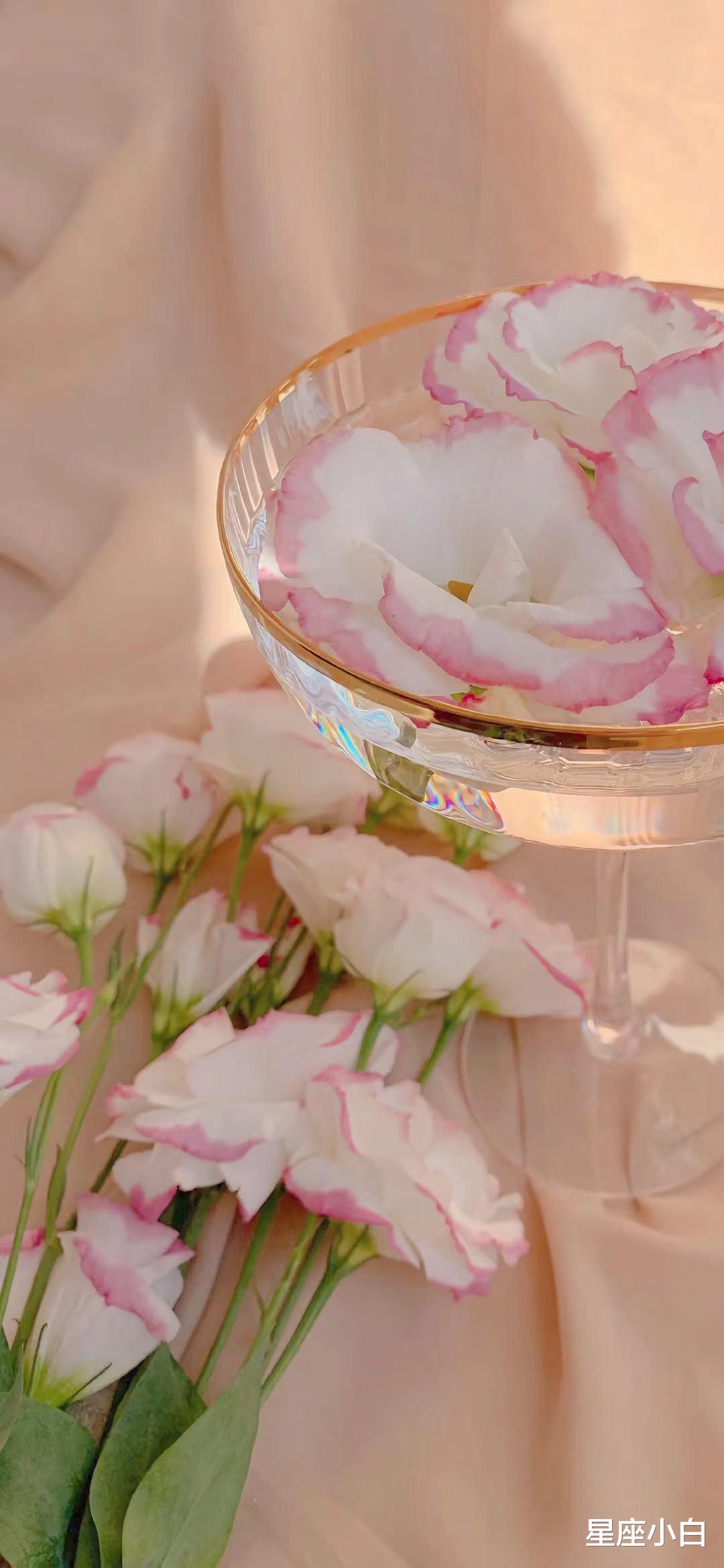 星座小白|这三大星座看起来不争不抢,其实人家是懒得计较